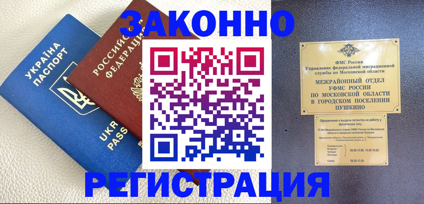 прописка 2025 в Губкине